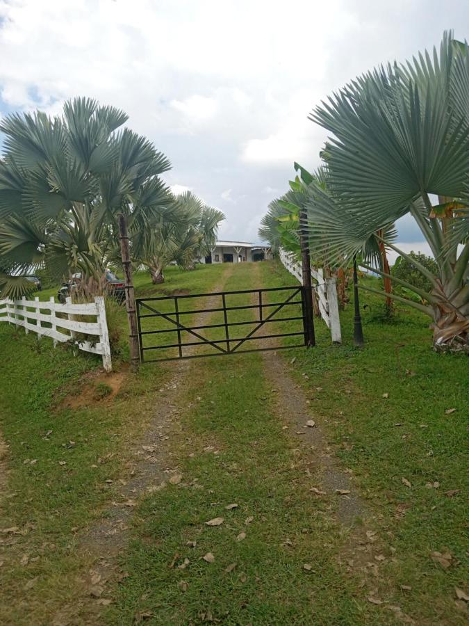 Rancho De Juancho Vila Pereira Exterior foto